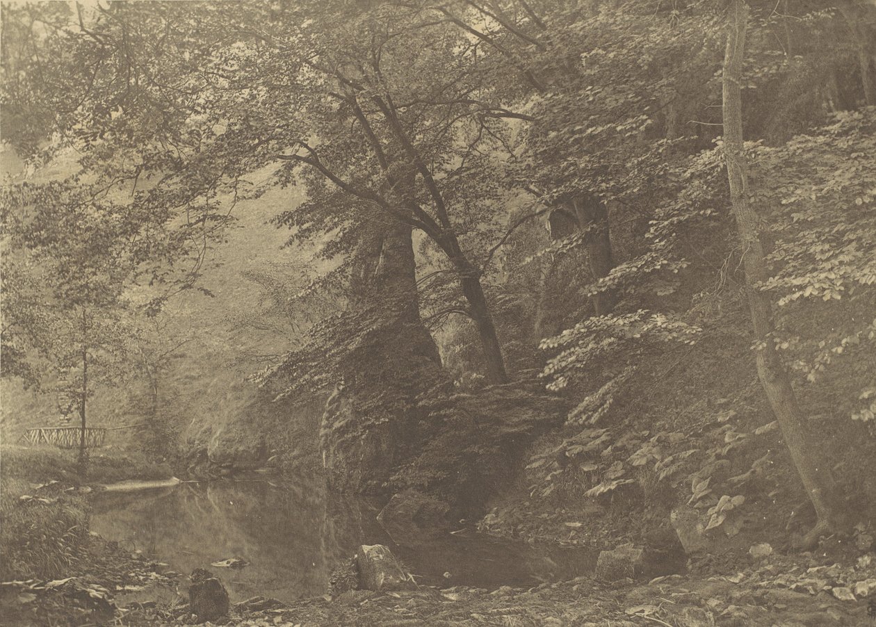 Pike Pool, 80. léta 19. století, vytištěno 1888. od George Bankart