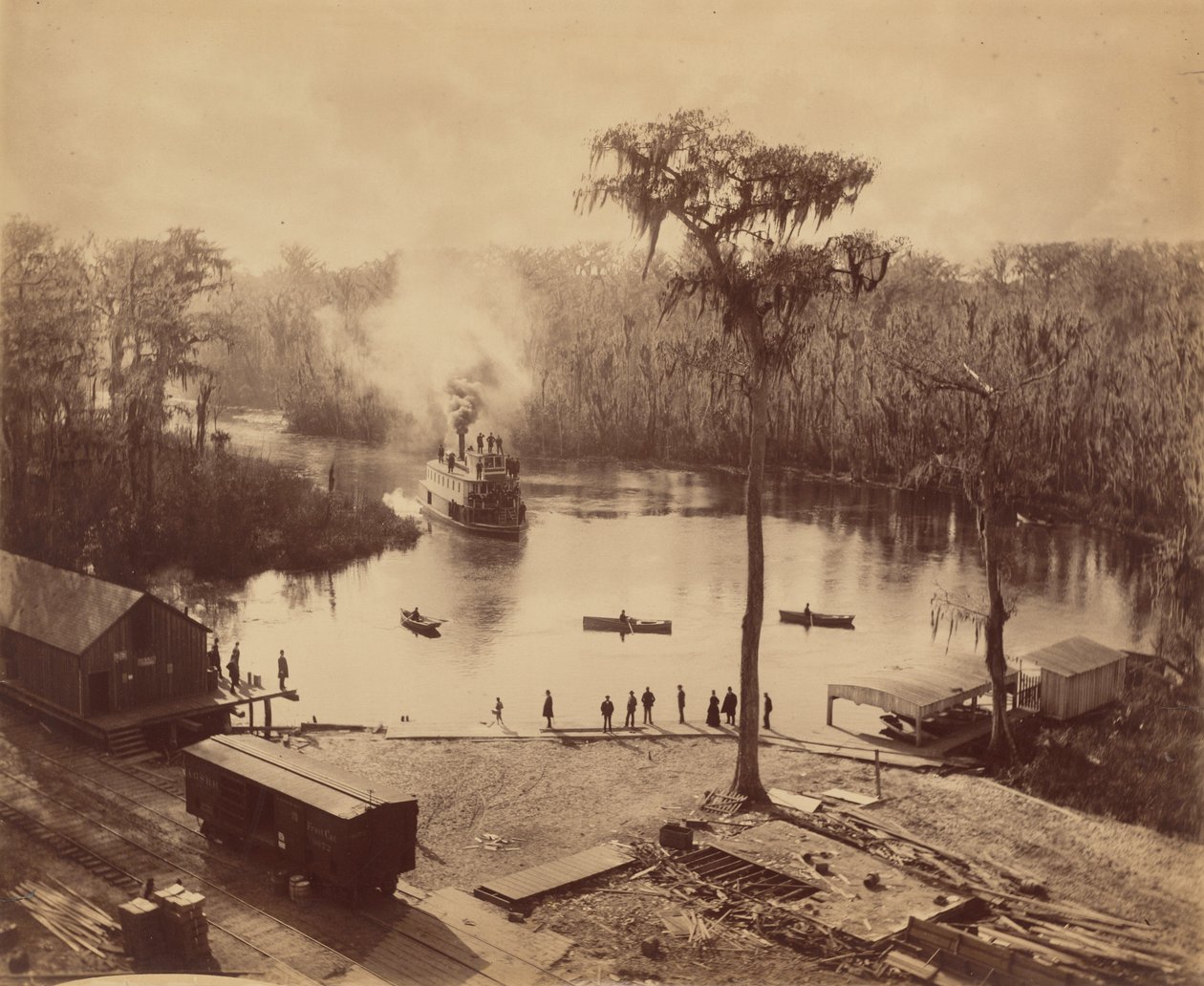 Silver Springs, Florida od George Barker