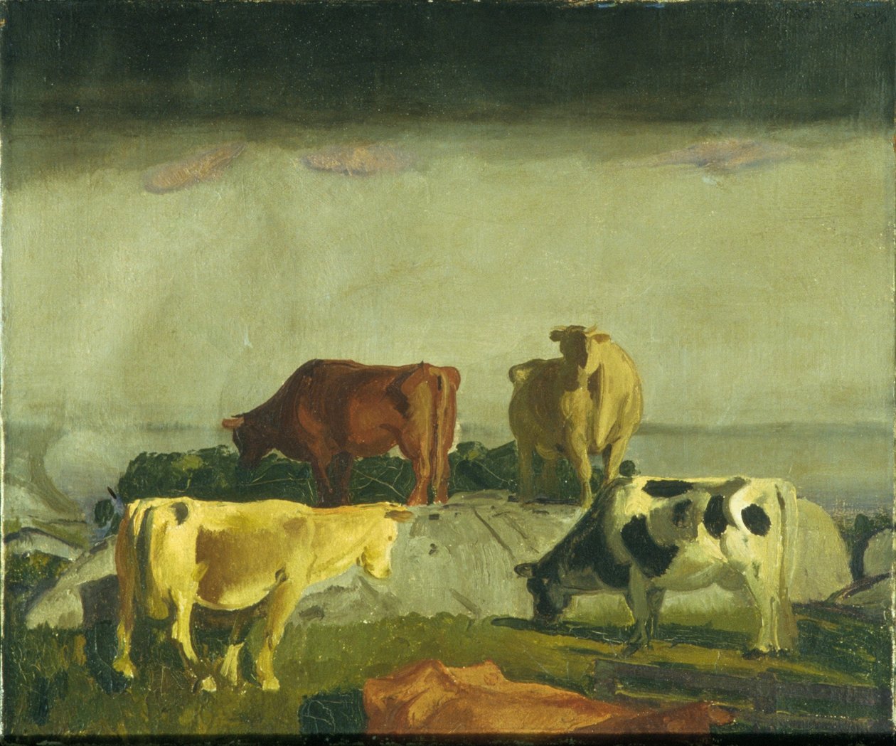 The Red Vine, ostrov Matinicus, Maine od George Bellows