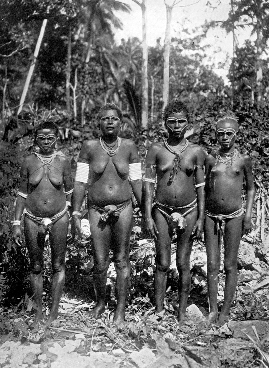 Ženy ve festivalovém oděvu, Melanesia, 1920. od George Brown
