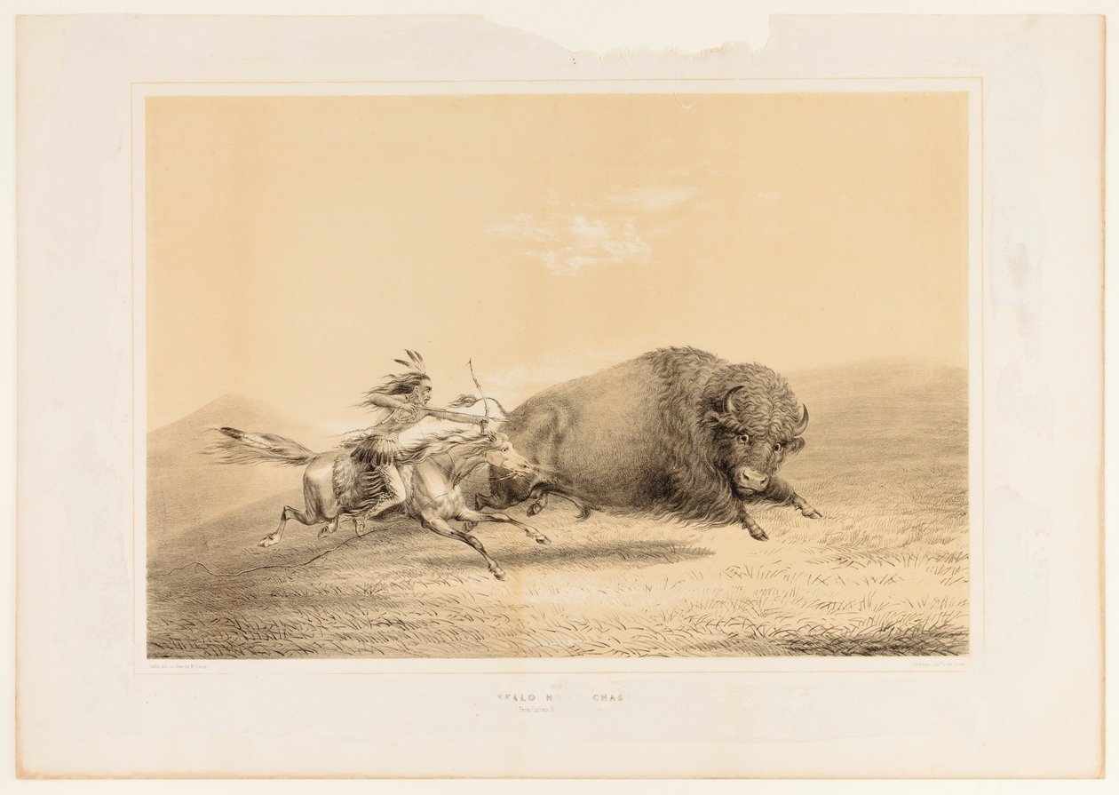 Buffalo Hunt, Chase - ne. 5 od George Catlin