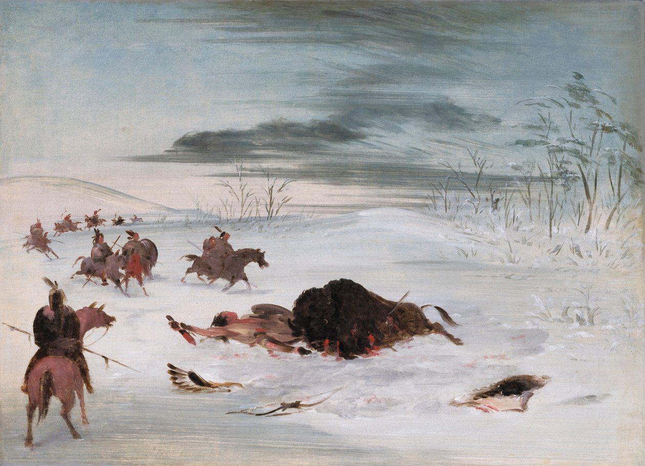 Umírající bizoní býk v závěji od George Catlin