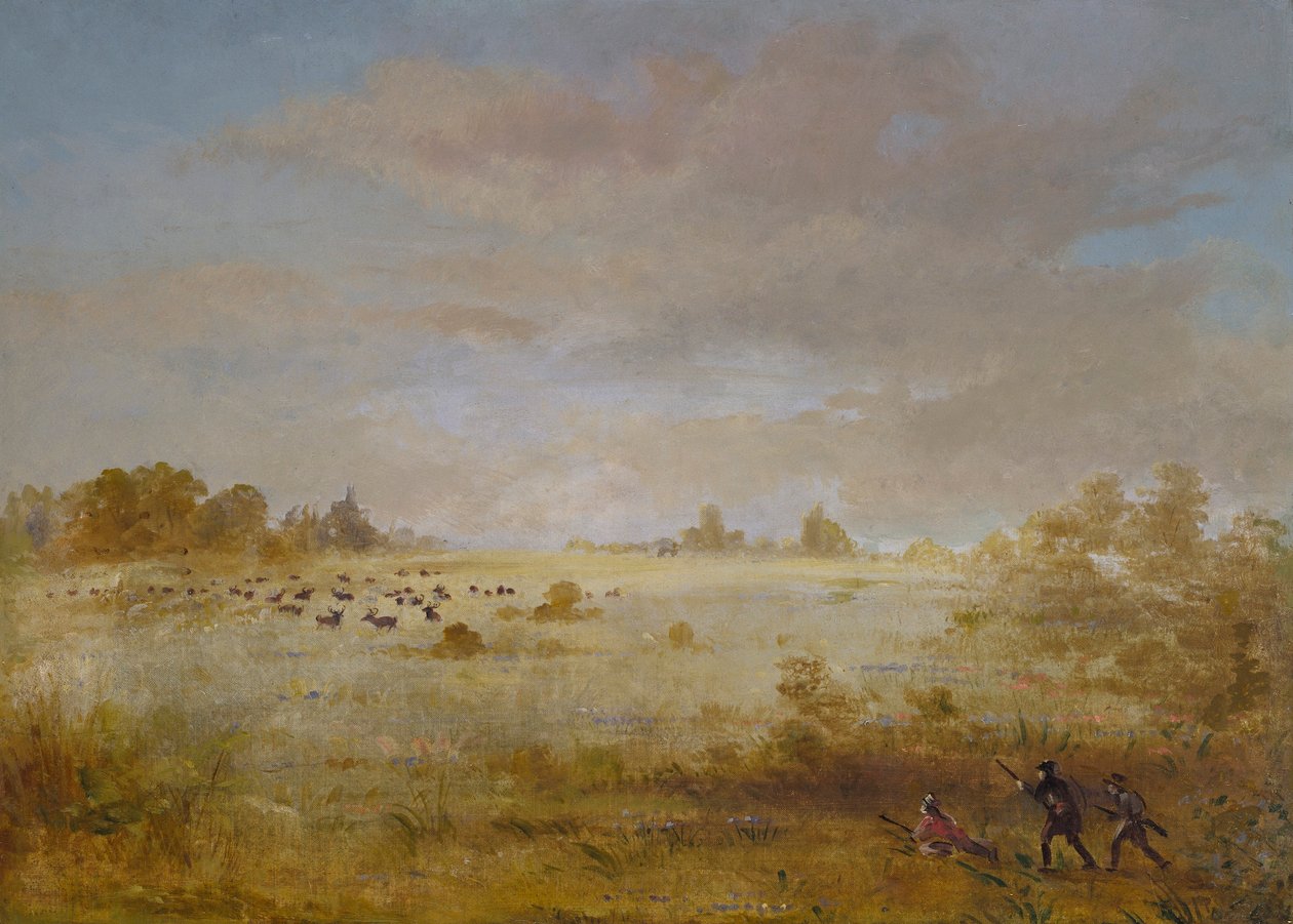 Pastva losů v podzimní prérii od George Catlin