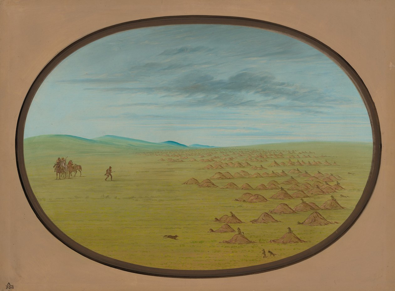 Prairie Dog Village, 18611869. od George Catlin
