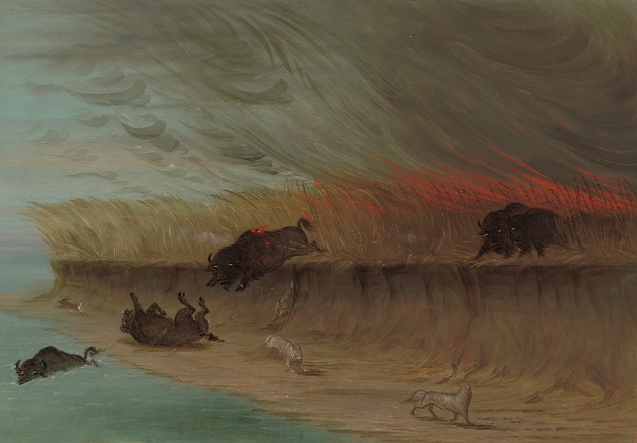 Prairie Meadows Burning, 18611869. od George Catlin
