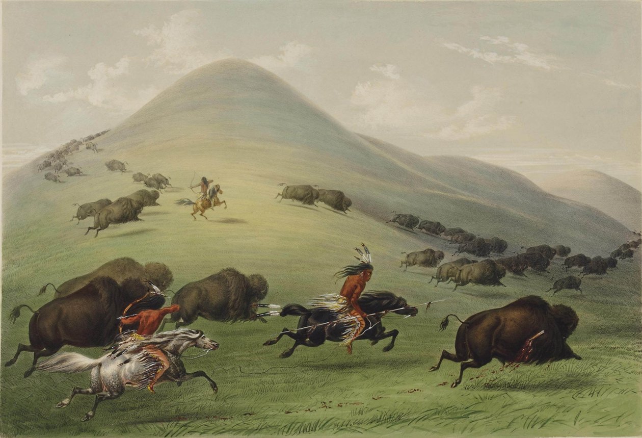 Buffalo Hunt od George Catlin