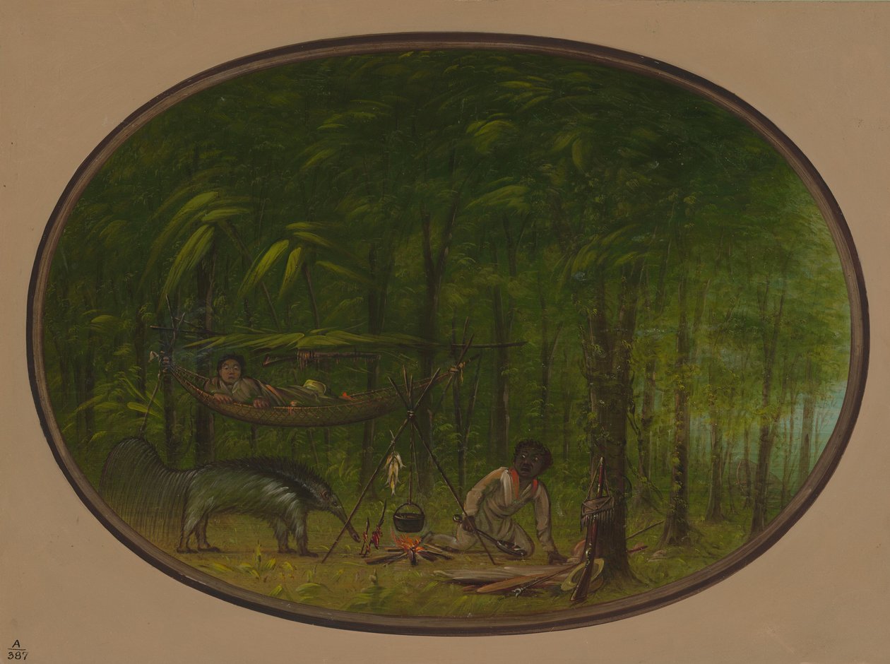 Velký mravenečník, 18541869. od George Catlin
