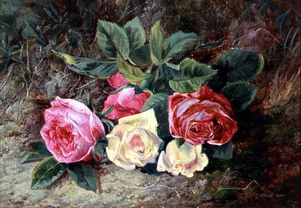 Růže, 1865 (olej) od George Clare