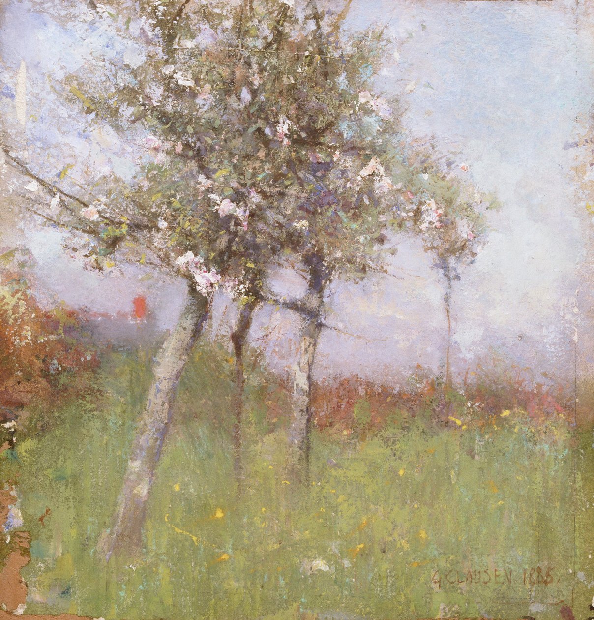 Jabloňový květ, 1885. od George Clausen