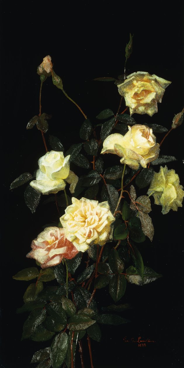 Růže, 1878 od George Cochran Lambdin