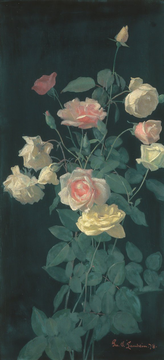 Růže, 1878. od George Cochran Lambdin