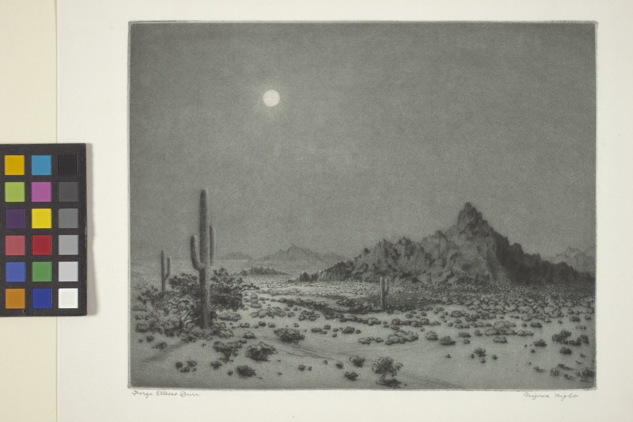 Arizona Night od George Elbert Burr