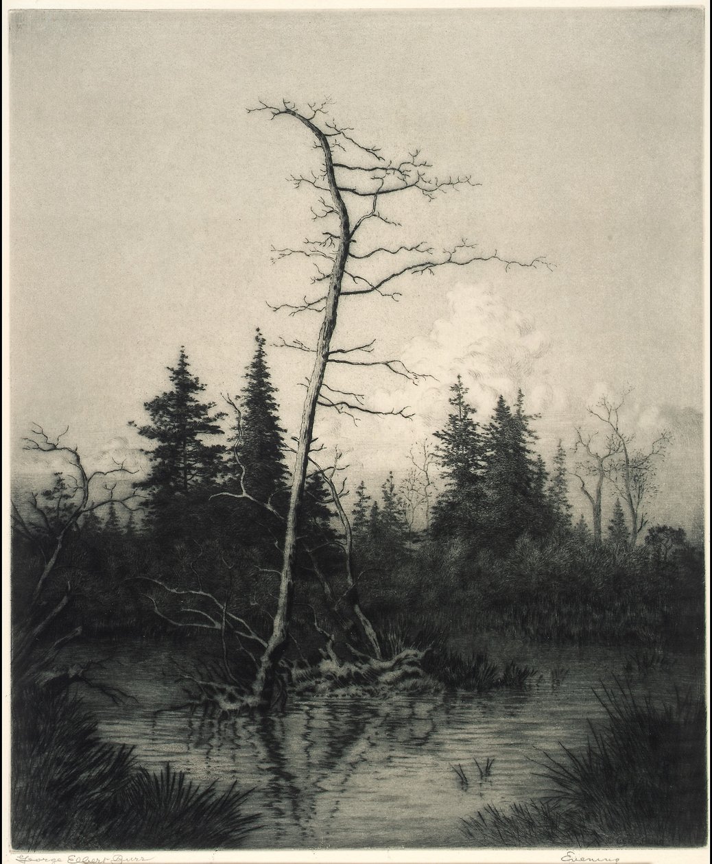 Večerní od George Elbert Burr