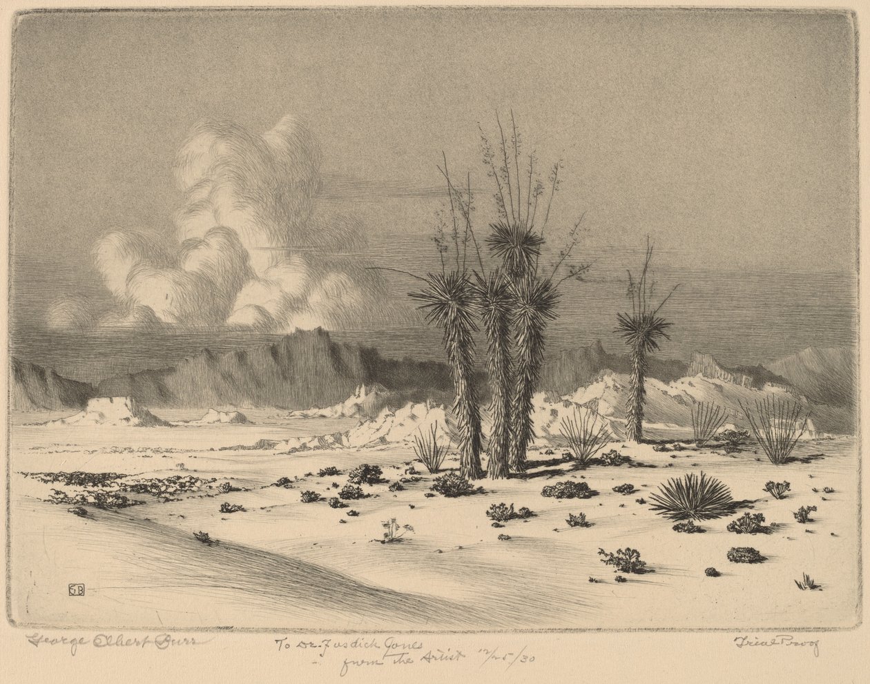 Večer, Arizona od George Elbert Burr