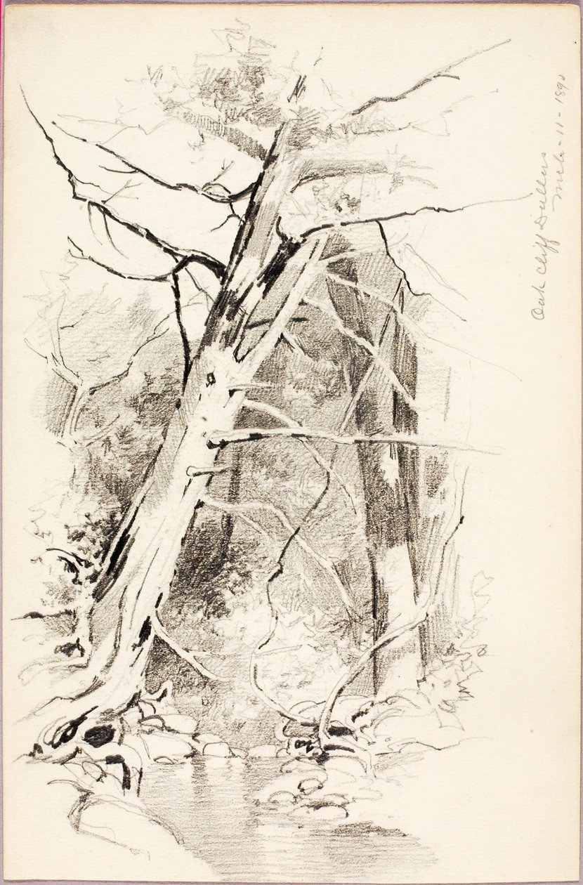 Oak Cliff, Dallas od George Elbert Burr