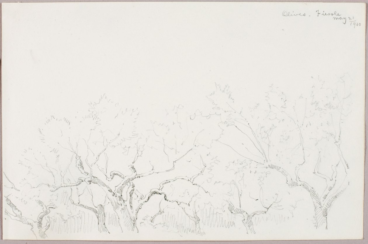 Olivy - Fiesole od George Elbert Burr