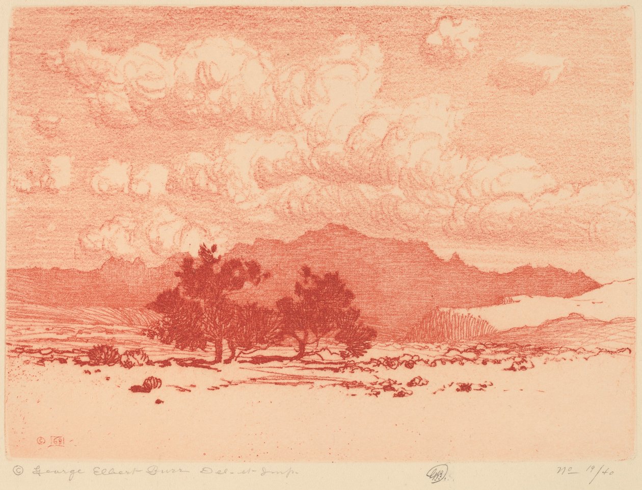 Stromy Palo Verde od George Elbert Burr