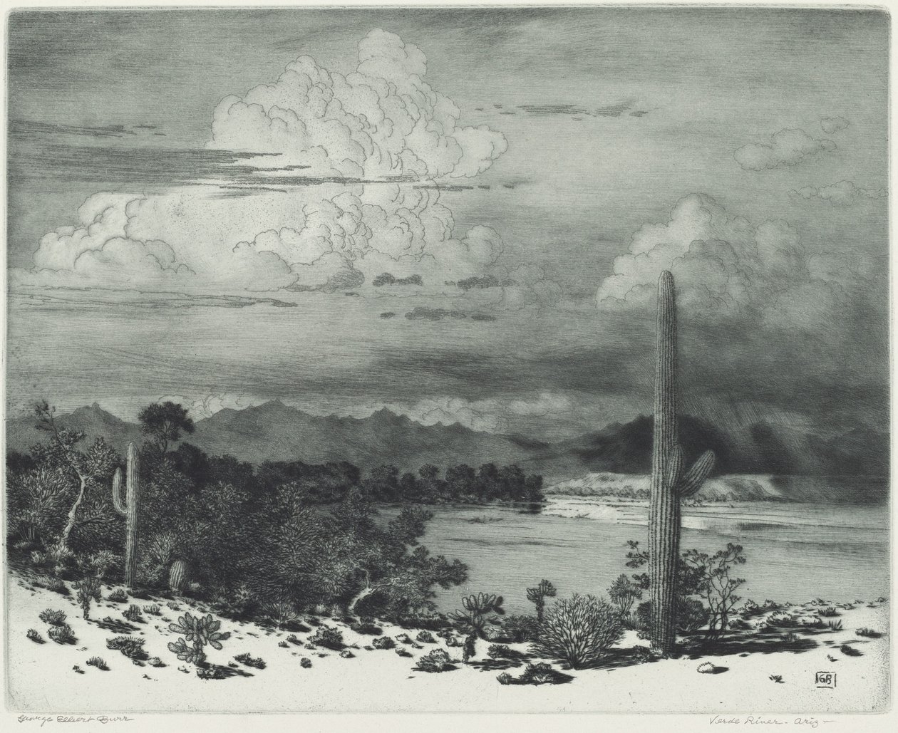 Verde River, Arizona od George Elbert Burr