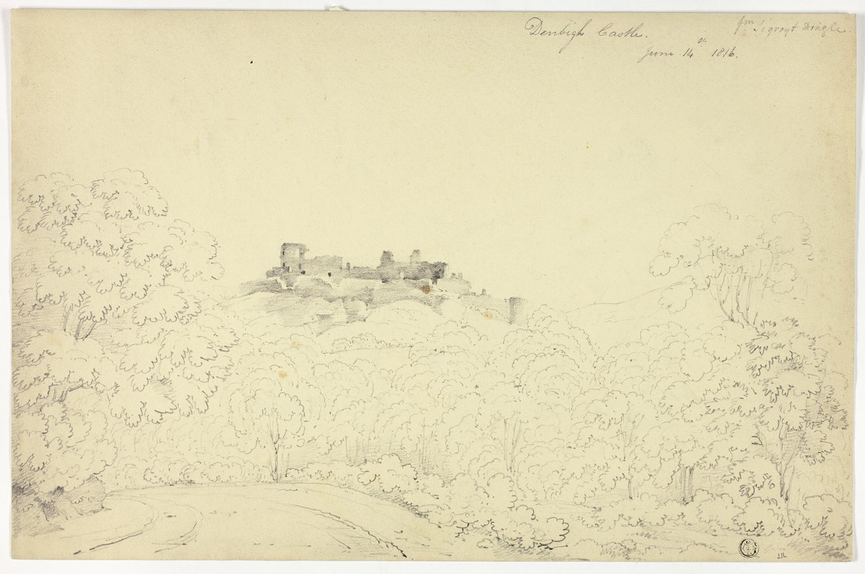 Hrad Denbigh od Segroyta Dinglea od George Fennel Robson