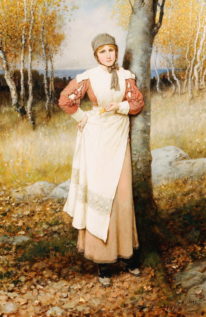 Růže v Nové Anglii od George Henry Boughton