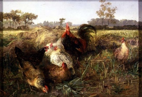 Slepice na strništi od George Hickin