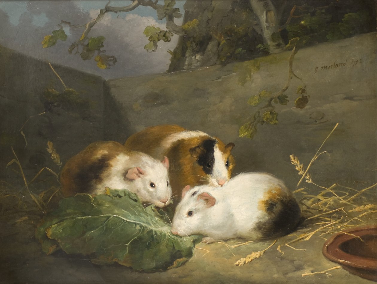 Morčata od George Morland