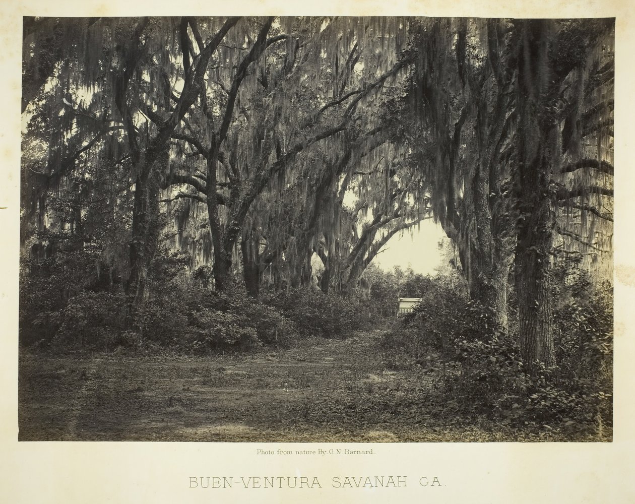 Buen-Ventura Savannah, Ga., 1866. od George N. Barnard