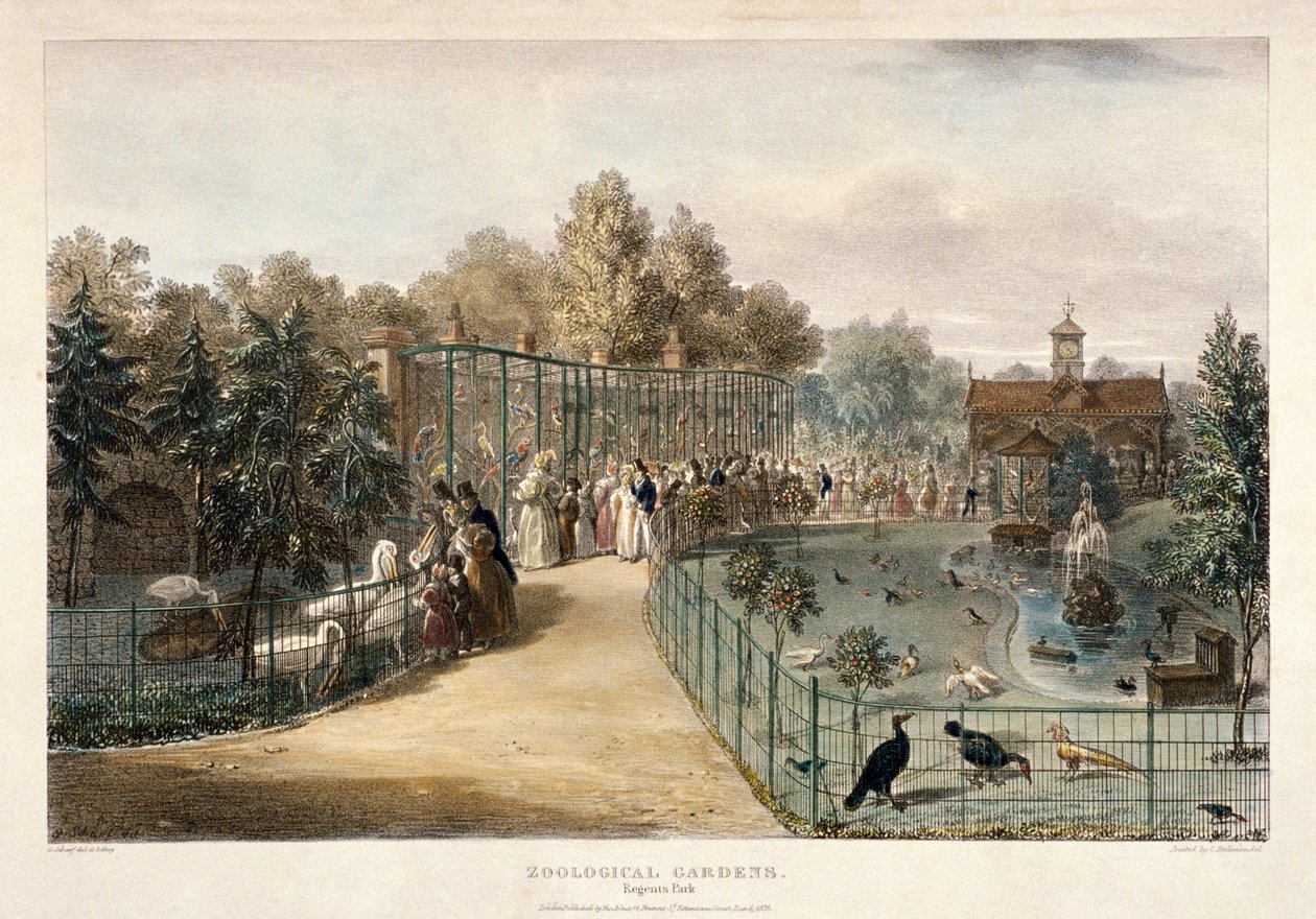 Zoologická zahrada, Regent