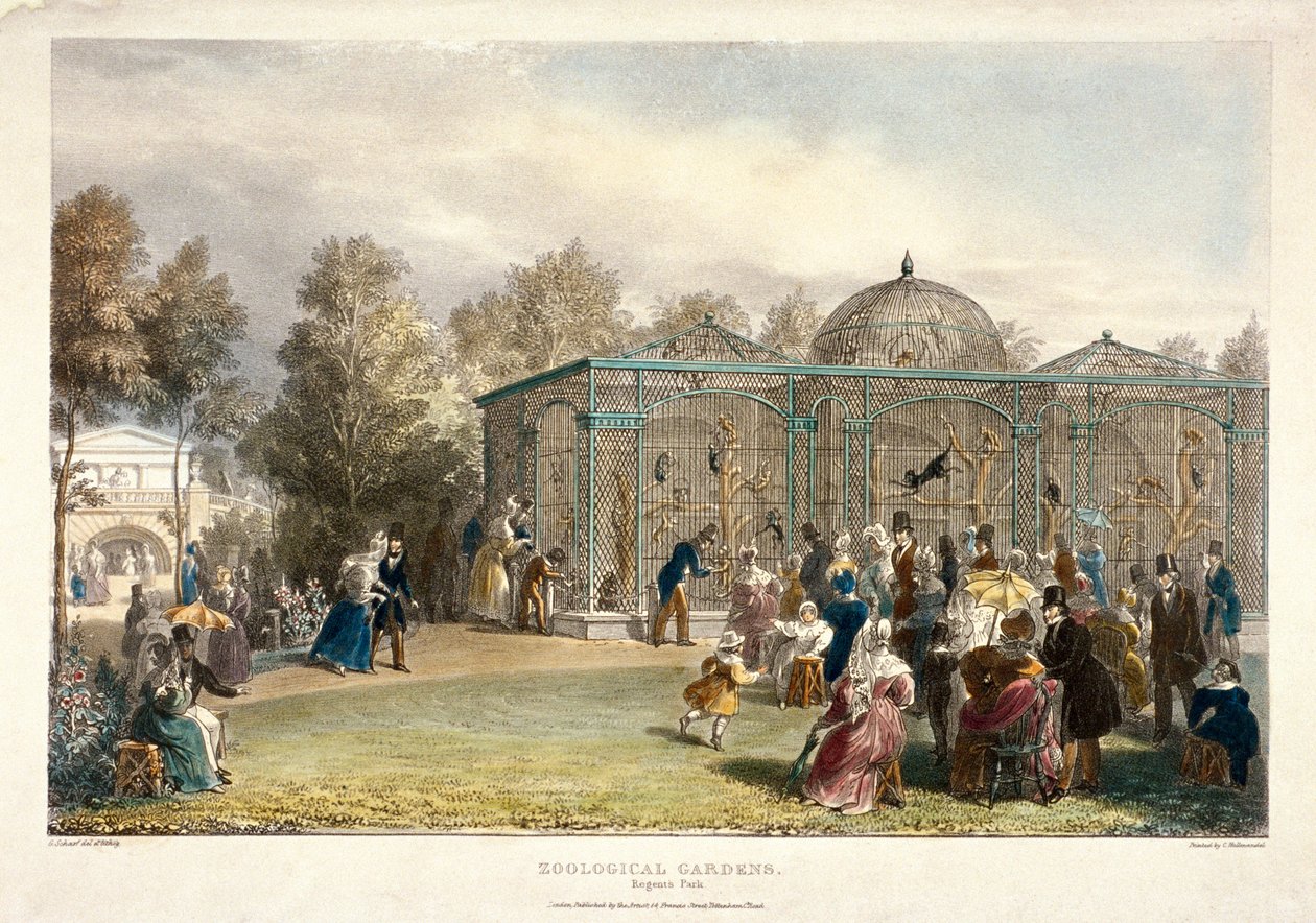 Zoologická zahrada, Regent