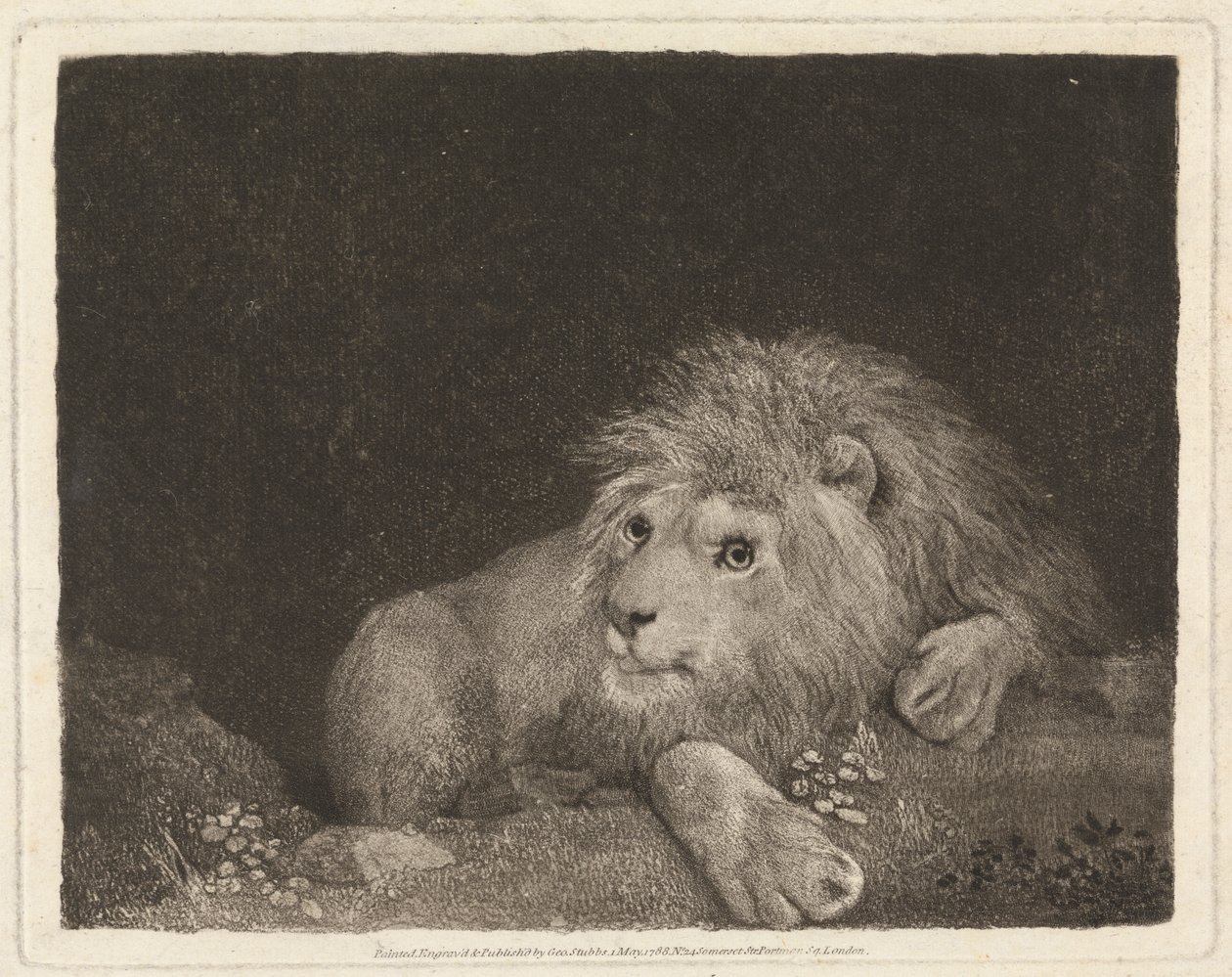 Lev [Ležící lev] od George Stubbs