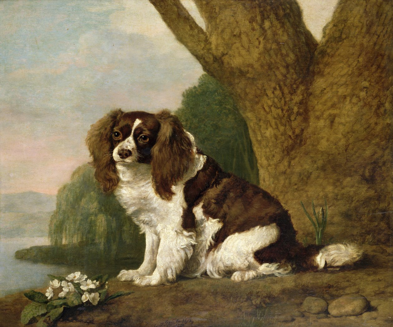 Fanny, hnědobílá španělka od George Stubbs
