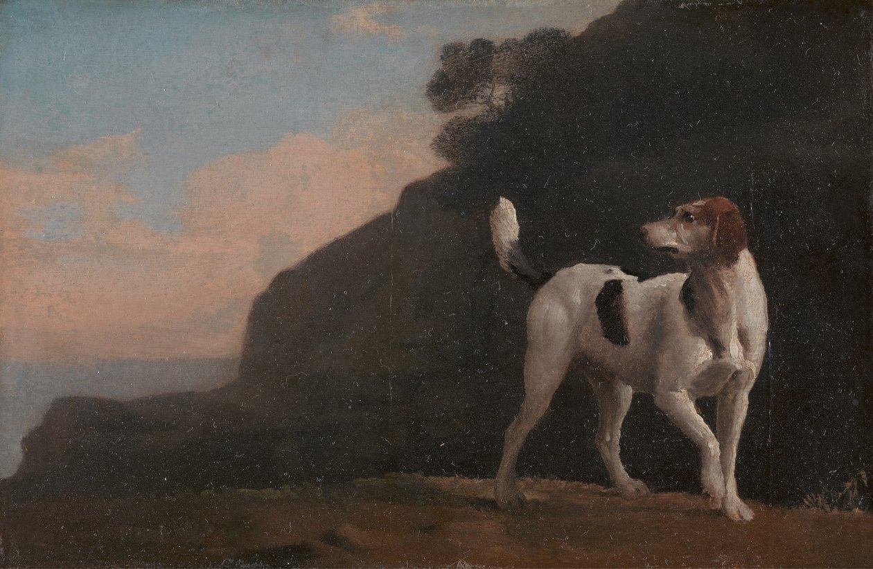 Foxhound, Foxhound, ca. 1760. od George Stubbs
