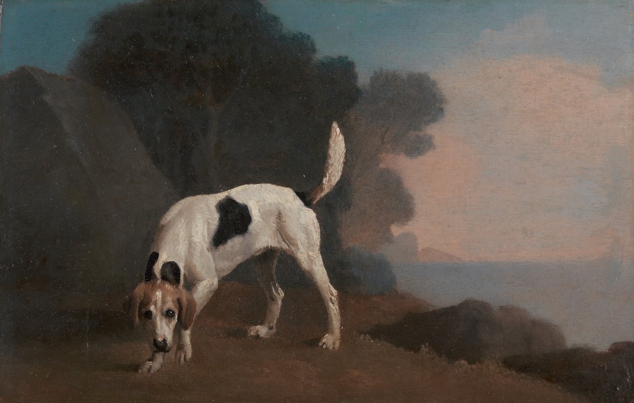 Foxhound, Foxhound on the Scent, ca. 1760. od George Stubbs