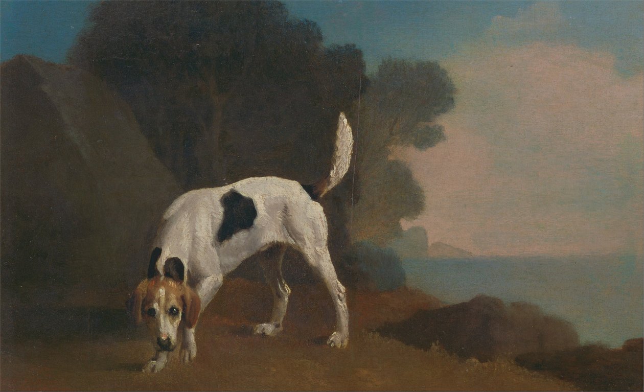 Foxhound od George Stubbs