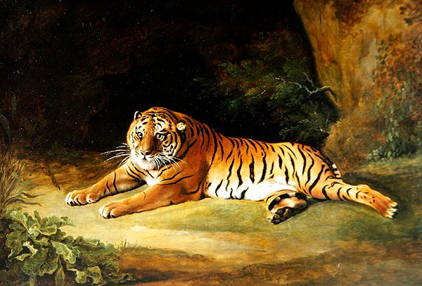 Tygr (olej na plátně) od George Stubbs