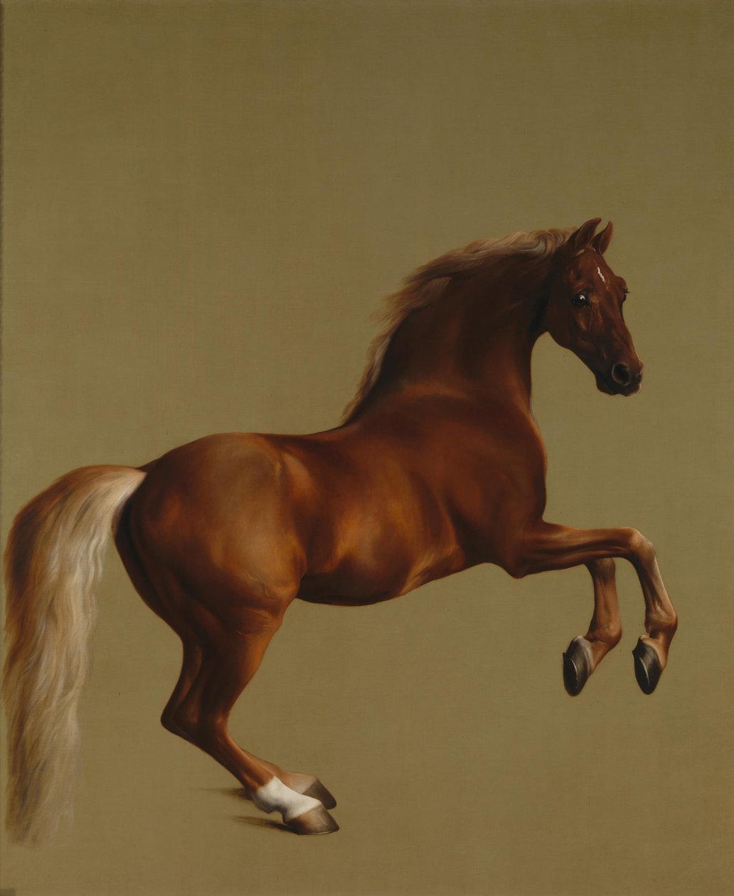 Whistlejacket od George Stubbs