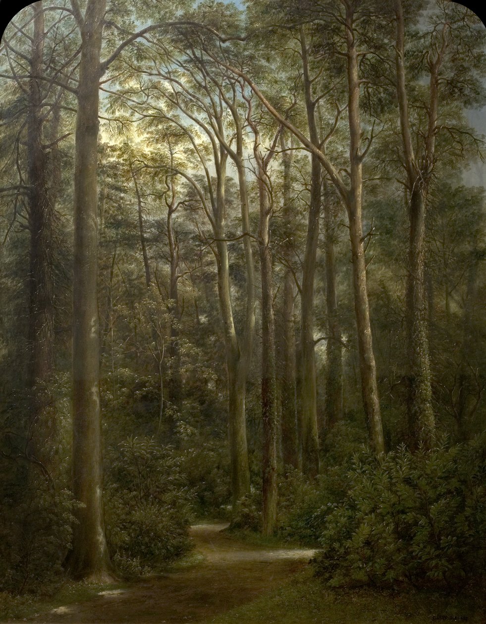 Divočina, 1857 od George Augustus Wallis
