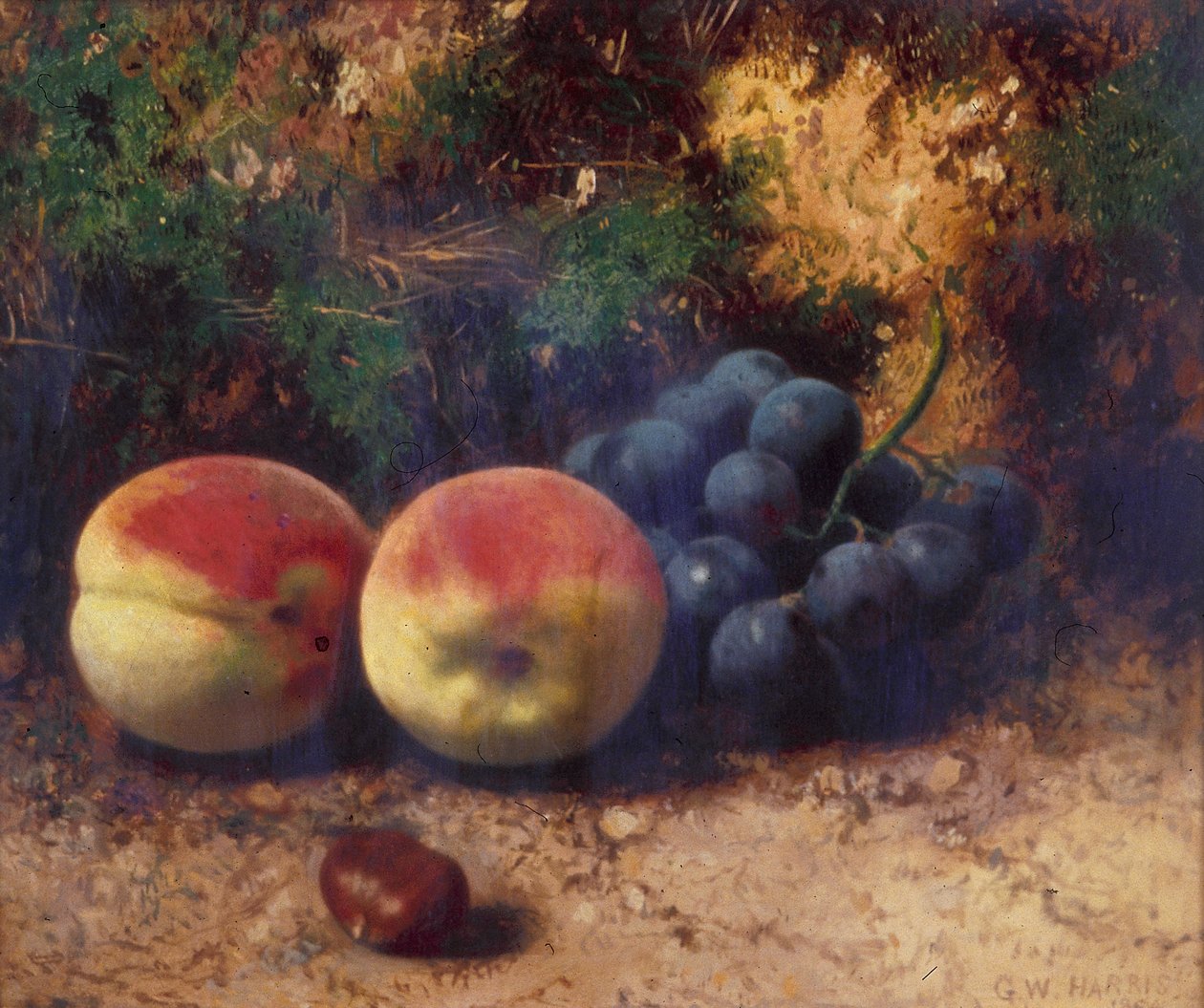 "Peaches and Grapes", 1864 od George Walter Harris