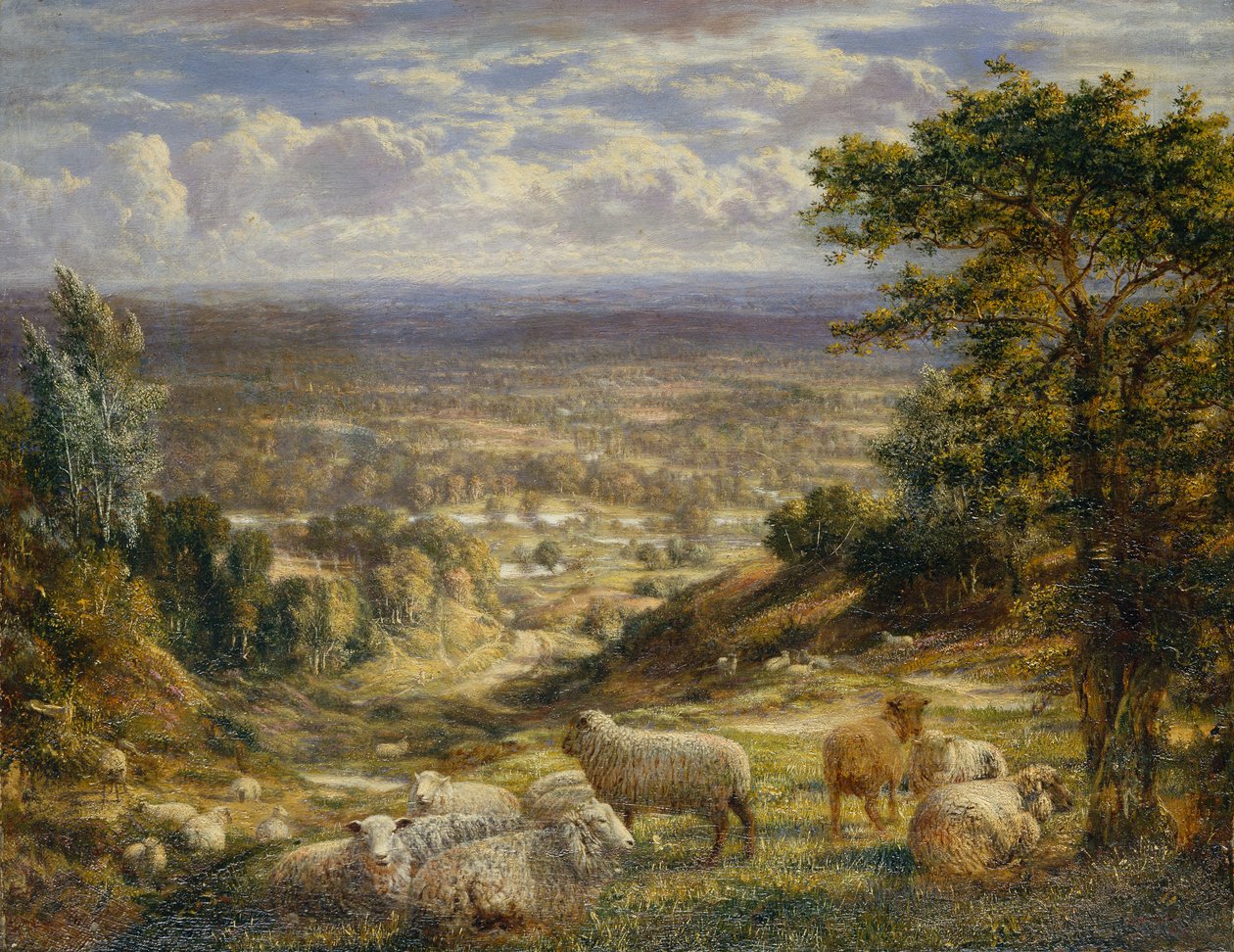 Letní krajina s ovcemi od George William Mote