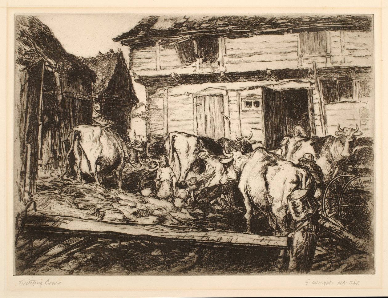 Čekající krávy od George Wright