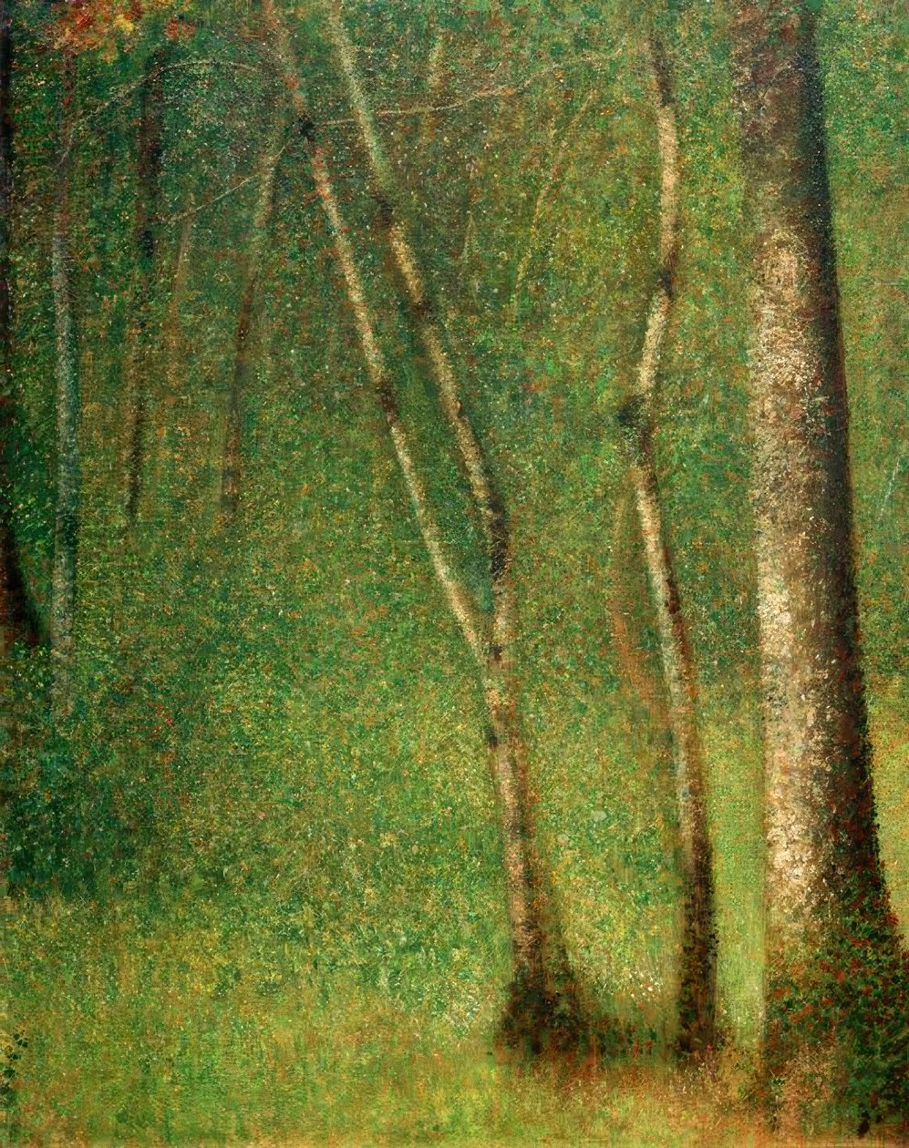 Podrost v Pontaubertu (Wald in Pontaubert) od Georges Seurat