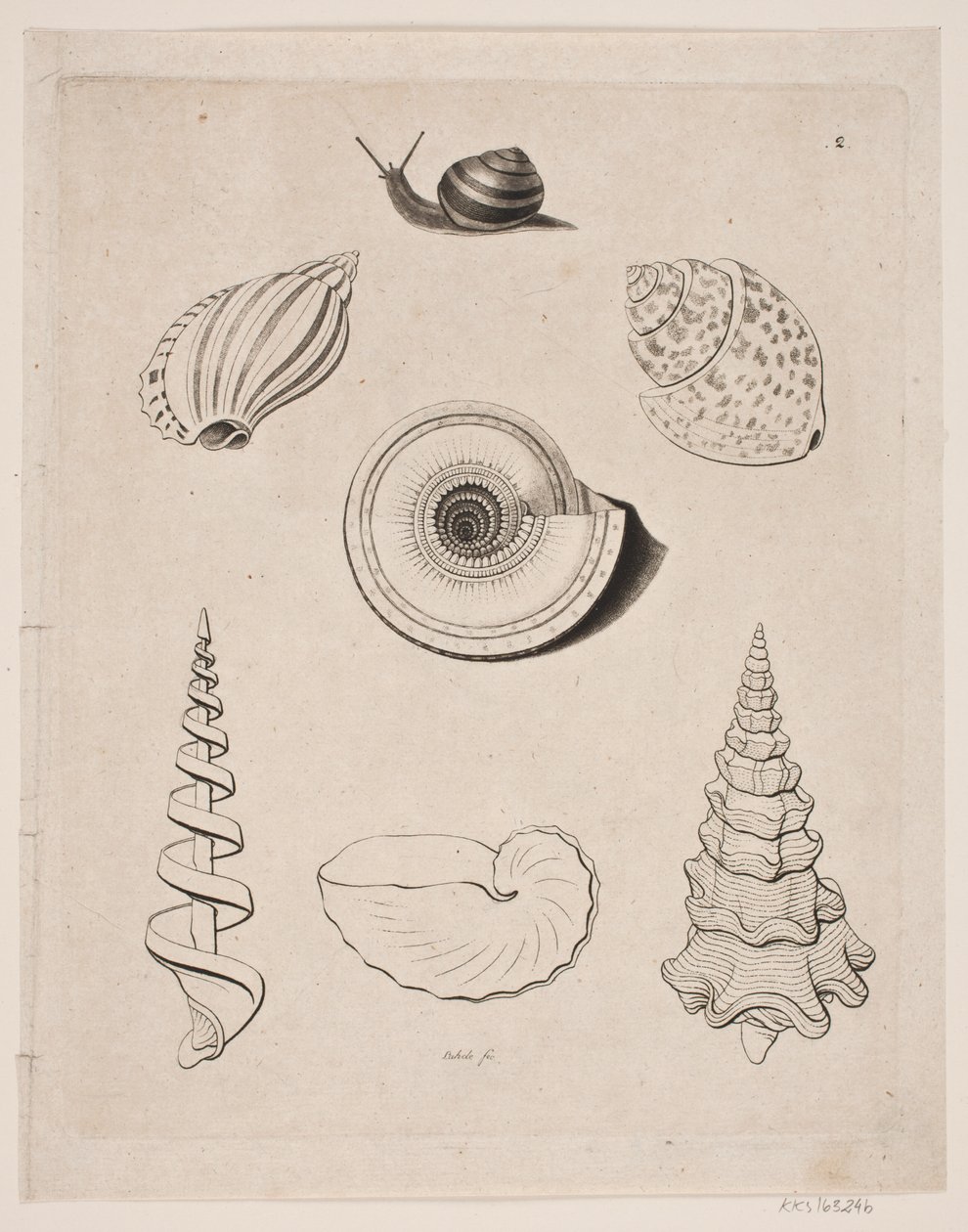 Tabule s šneky od Gerhard Ludvig Lahde