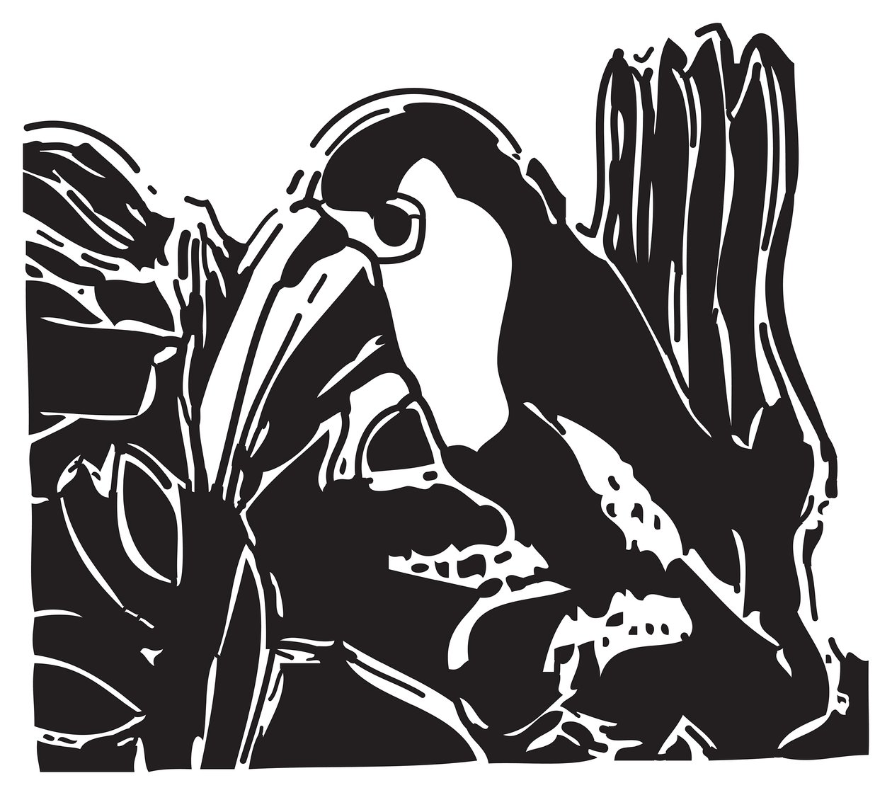 Toucan od Gerhardt Isringhaus