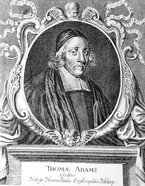 Portrét Thomase Adamse (asi 1633-70) od German School