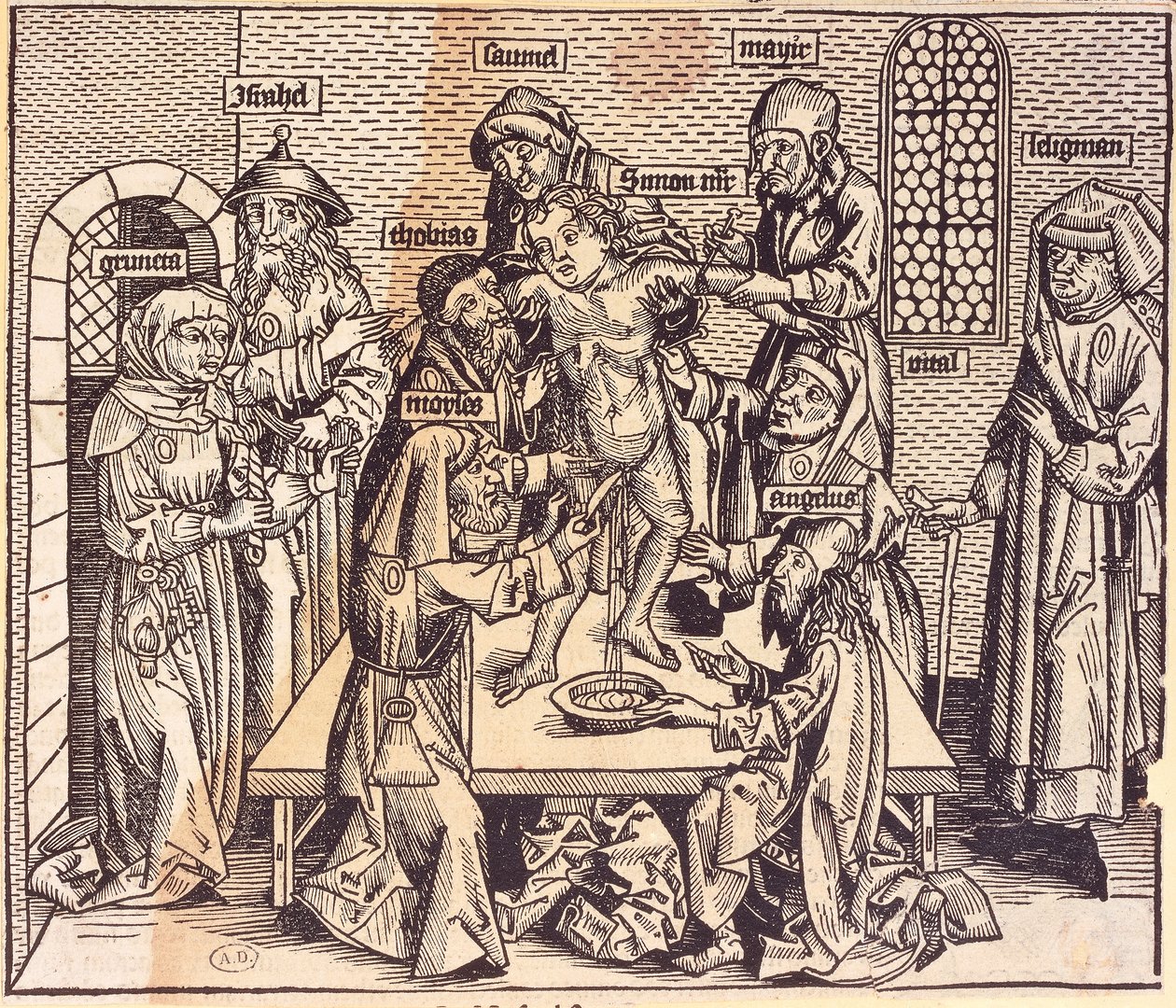 Lekce anatomie (rytí) od German School