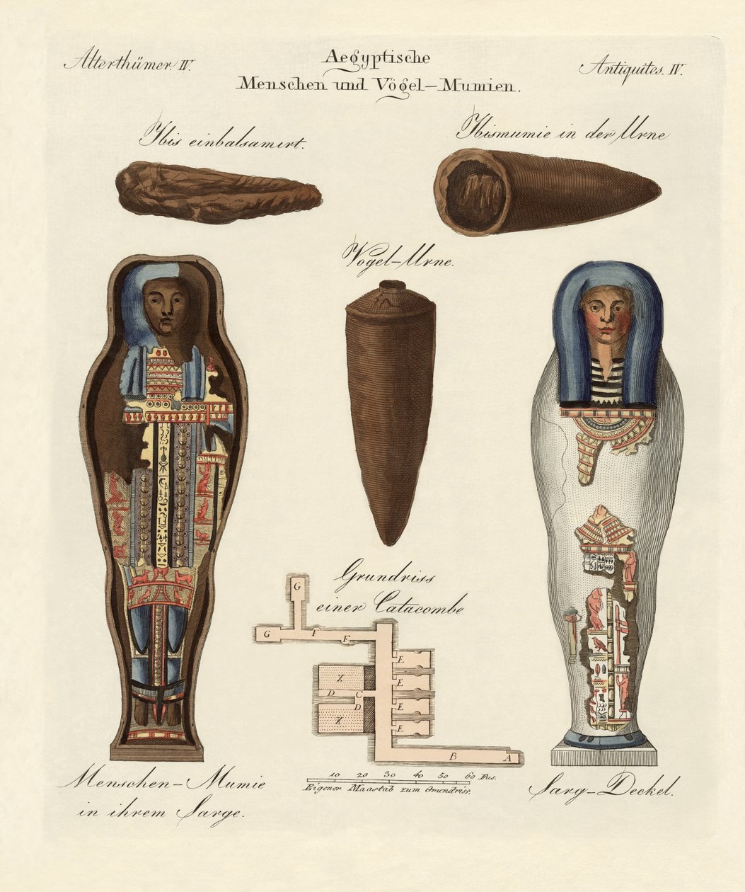 egyptské mumie od German School
