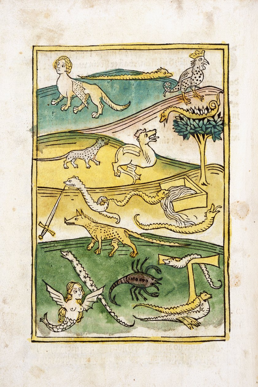 Monstra a hadi v krajině, 1478 od German School