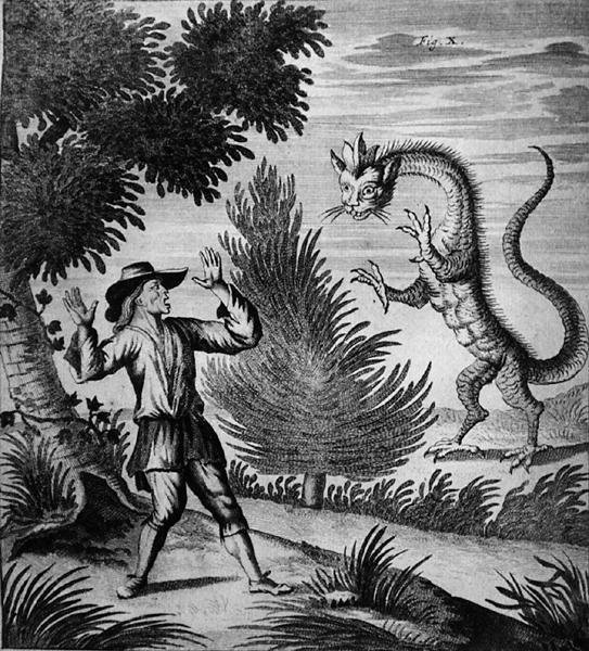 Mountain Dragon, c.1660 (rytina) od German School