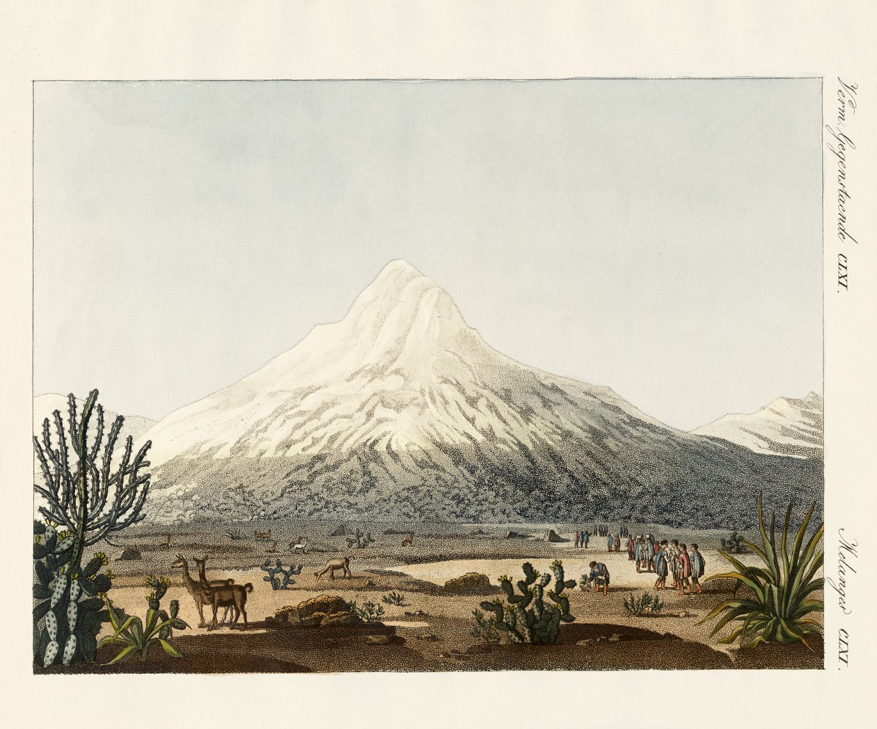 Chimborazo v Jižní Americe od German School