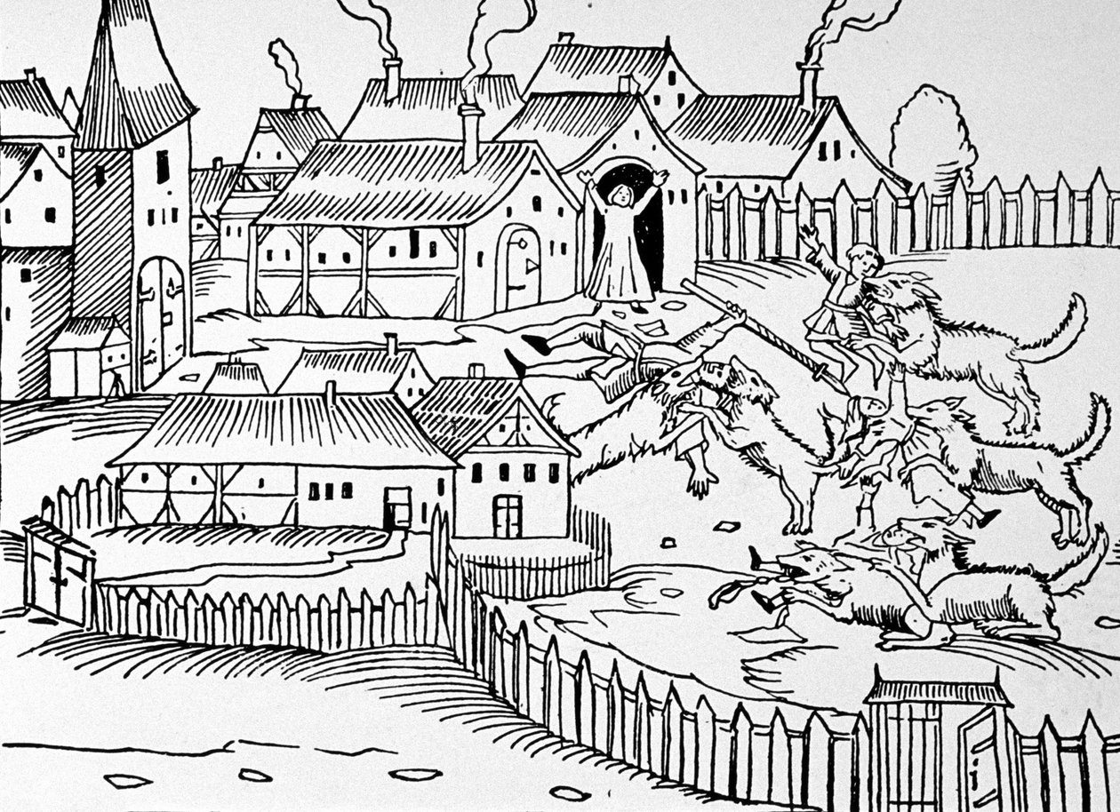 Vlci unášejí děti v Německu od German School